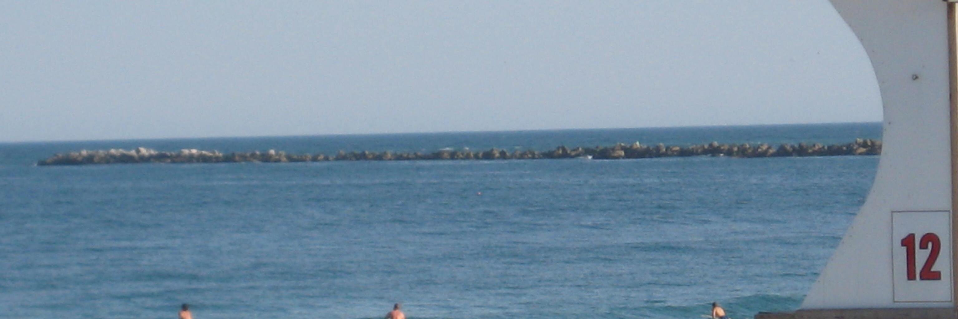 Jeanne Persuit banner