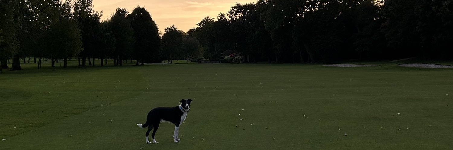 Calum Mortimore banner