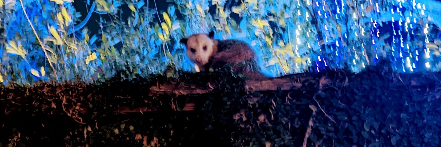 @richmeisel@ecoevo.social banner