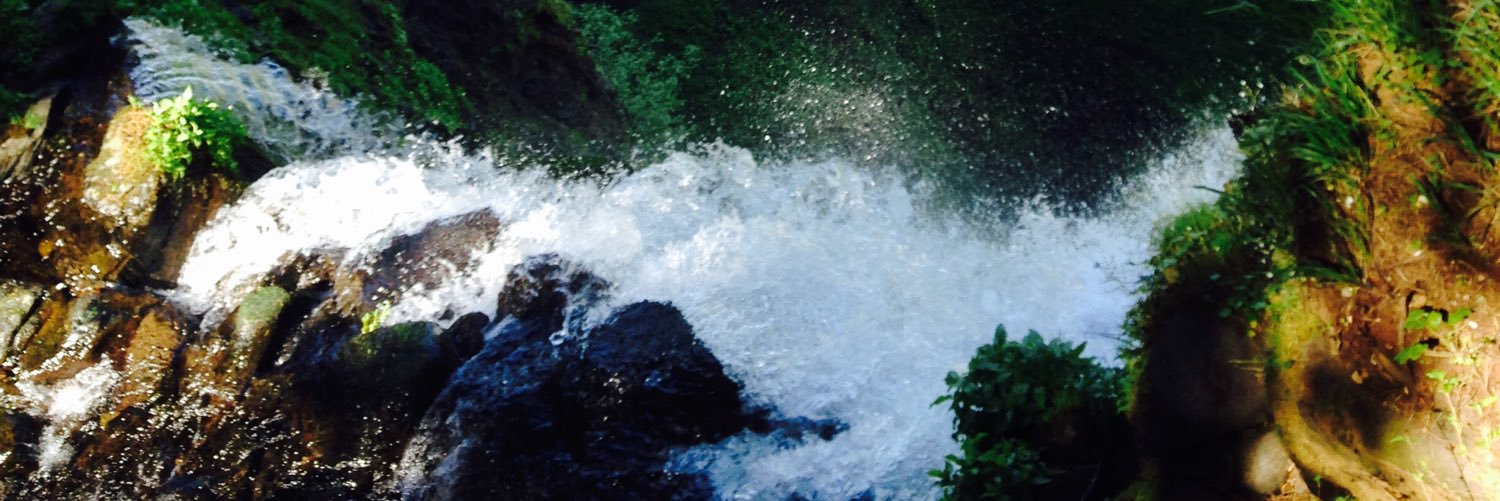 zabelderek's profile banner image