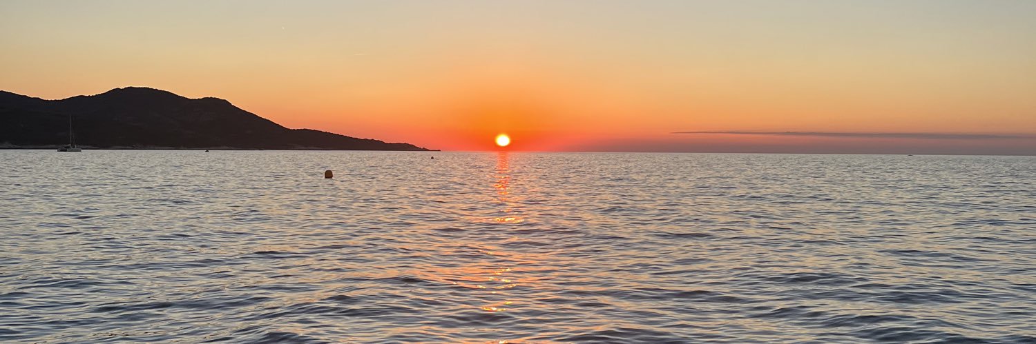 fulvia steardo banner