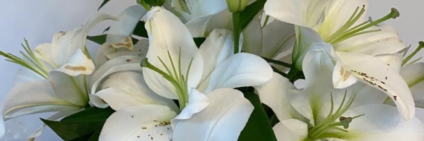 Cllr Teresa Pepper banner