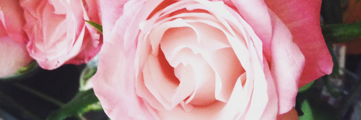 una_mafer's profile banner image