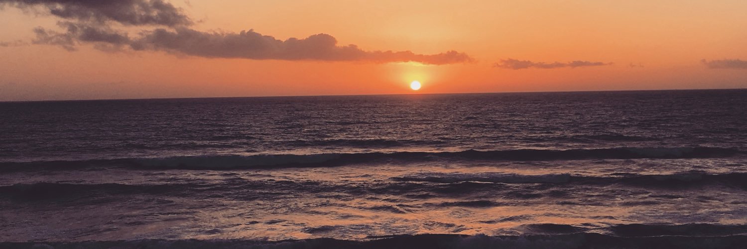FPNiSumi's profile banner image