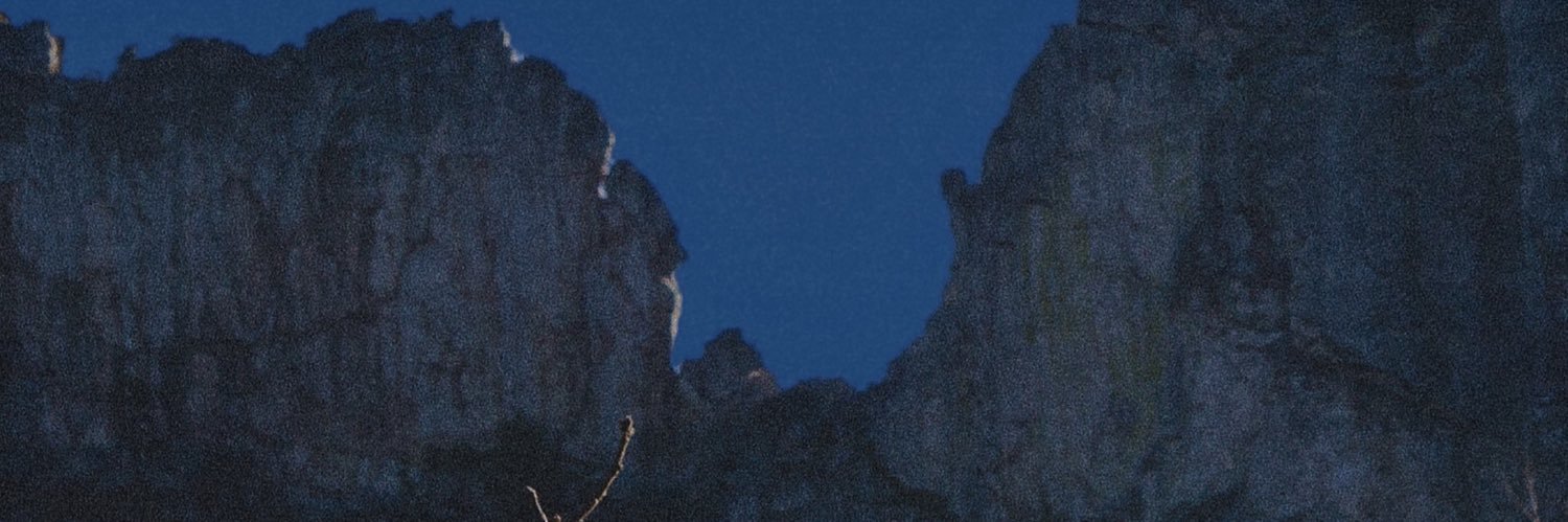 montfloyd's profile banner image
