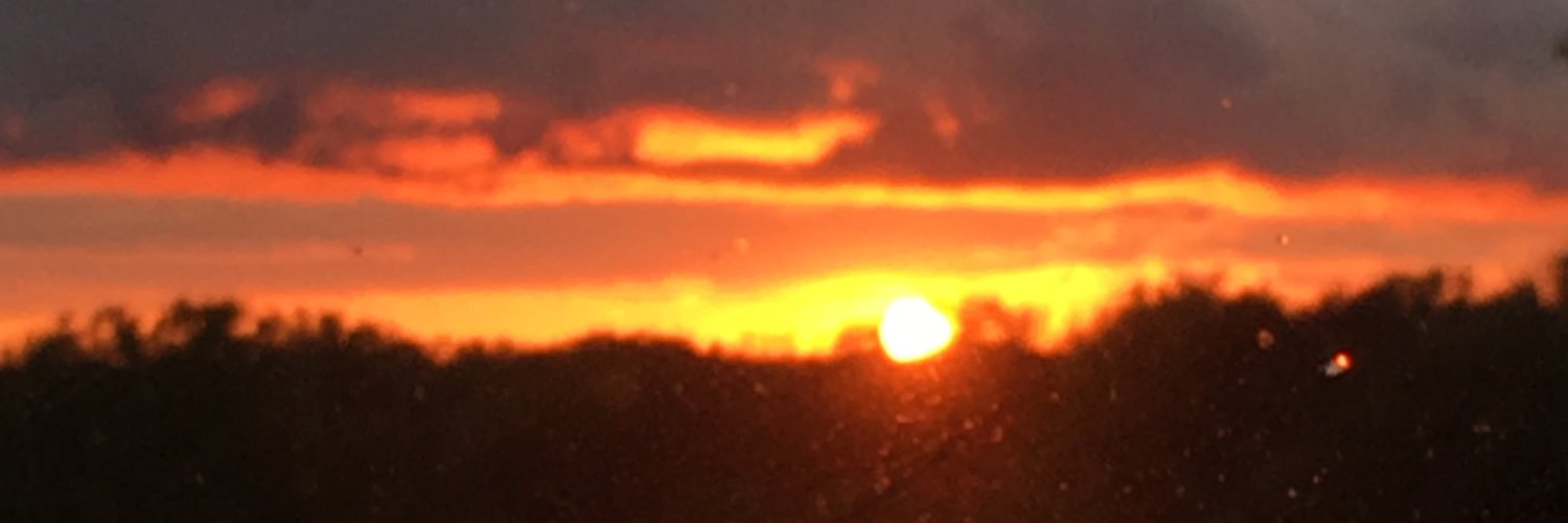 ryansarm's profile banner image