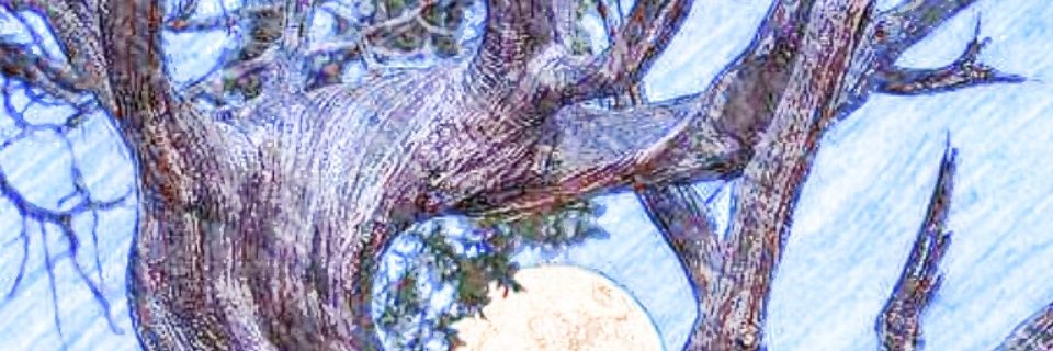 Susan from Texas banner