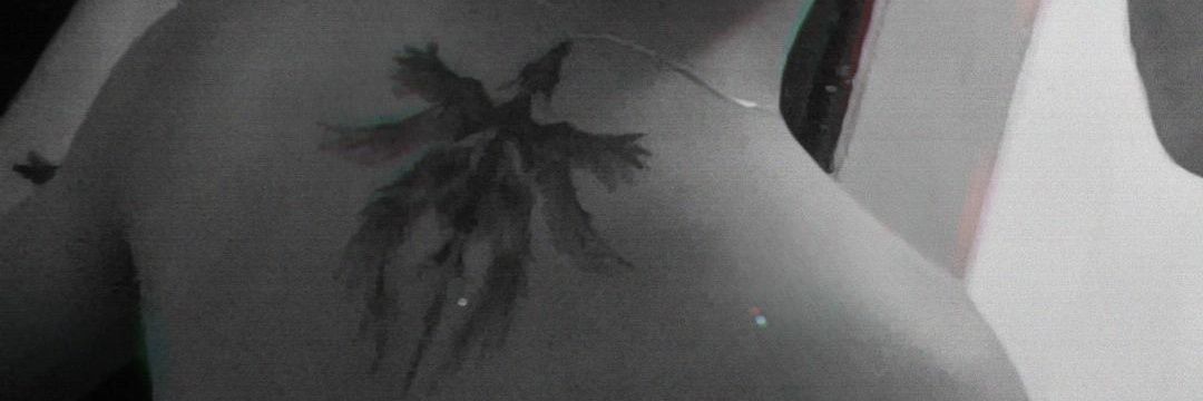 caligarcia35's profile banner image