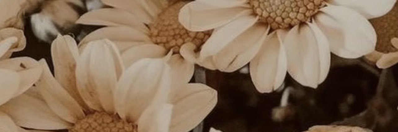 dvyks's profile banner image
