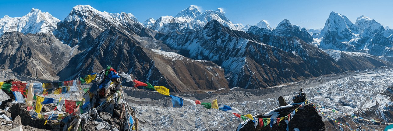 Nick Williams banner