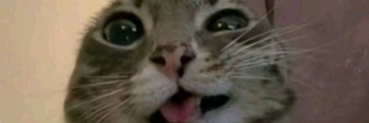 natebsrs's profile banner image
