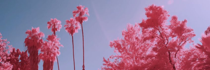 DussanAc16's profile banner image