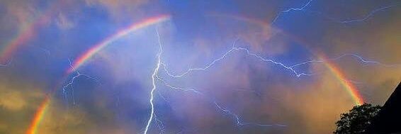 Marcus Danzel banner