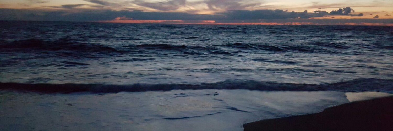 Pierre Verdier banner