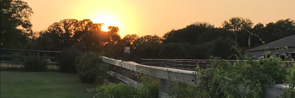 BjornHann's profile banner image