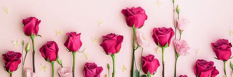RoseWilliams98's profile banner image