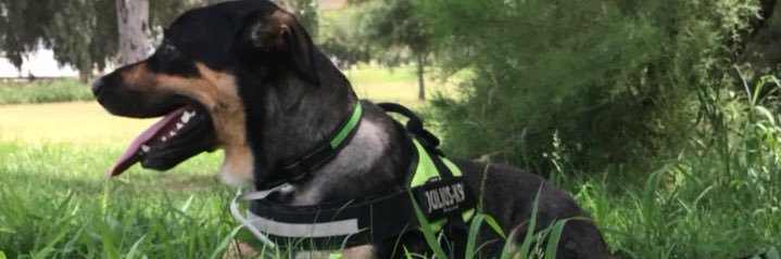 JoseAJJSevilla's profile banner image