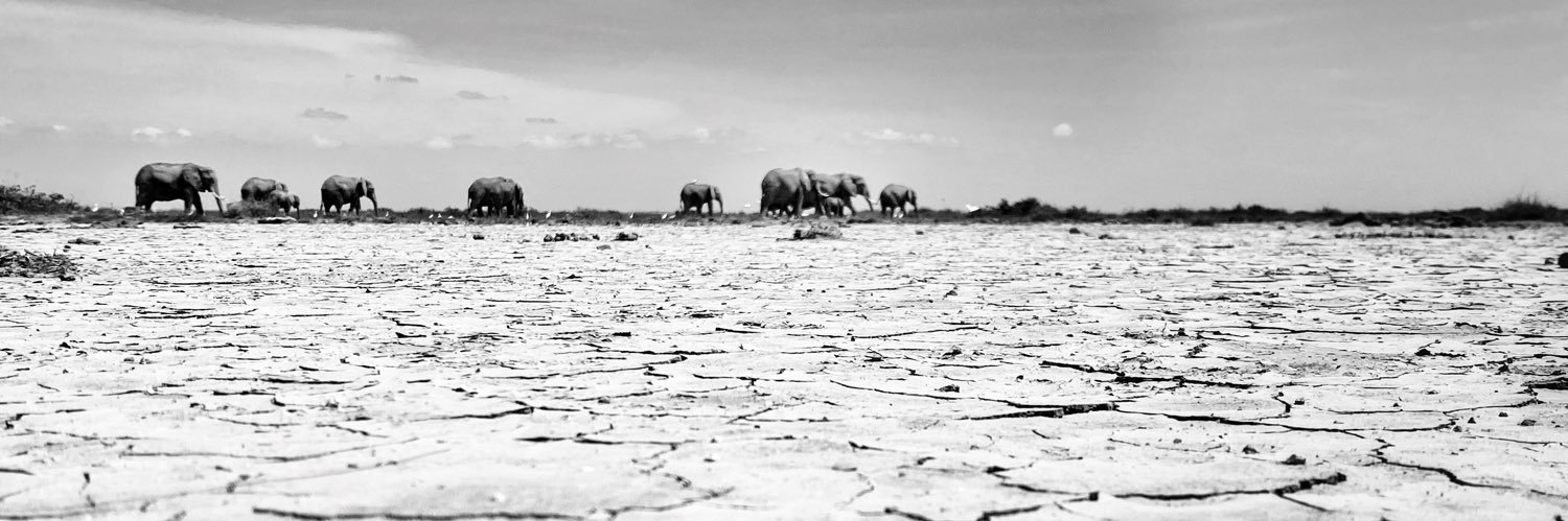 Sophie Darlington banner