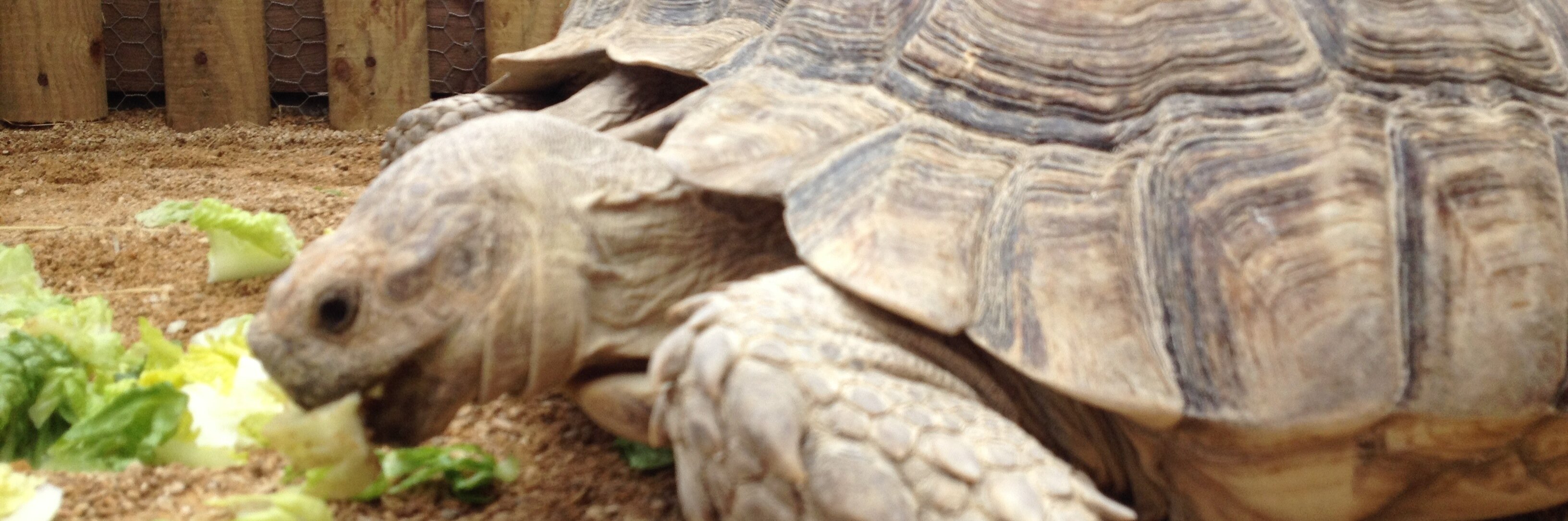 kerley_simon's profile banner image