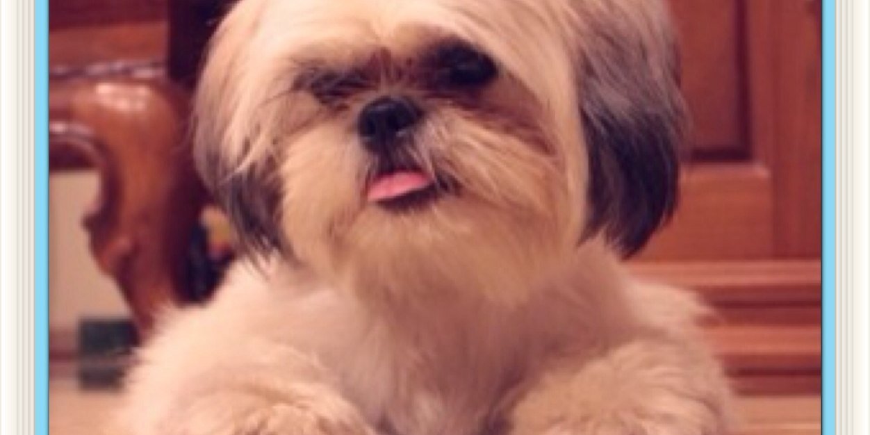 SaputraAndreas1's profile banner image