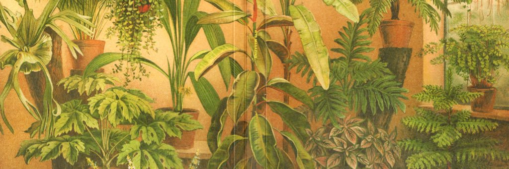 WTDMag's profile banner image