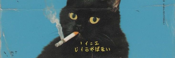 celebracamonte_'s profile banner image