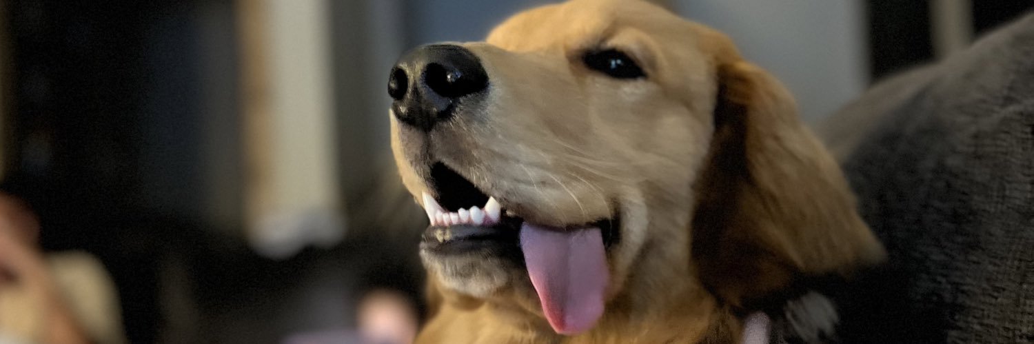 Benjamin Klimek banner