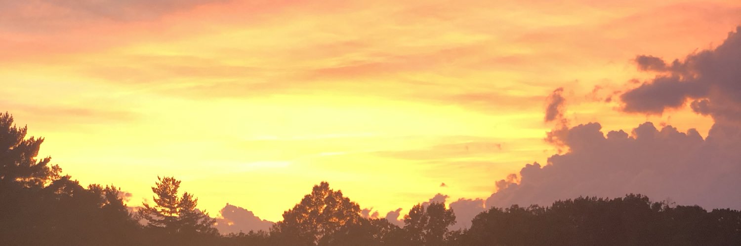 llecrupasil's profile banner image