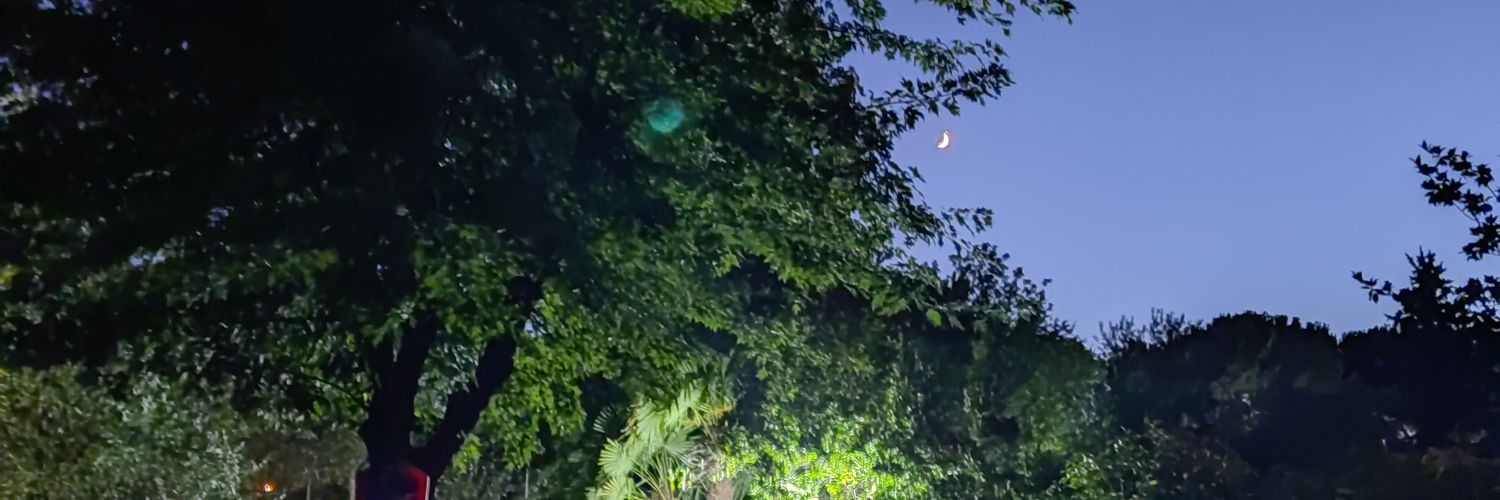 gmunozfe's profile banner image
