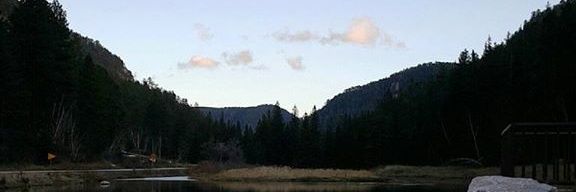rachhann4's profile banner image