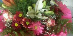 carmencorujo's profile banner image