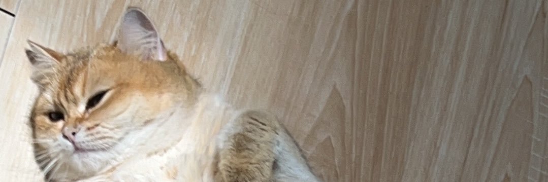 rontheoneonly's profile banner image