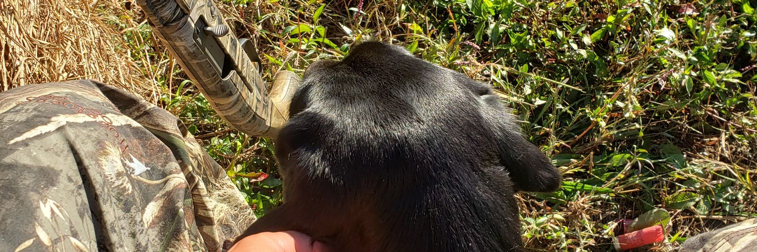 Ryan Van Amburg banner