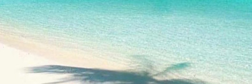 RuthBahamas's profile banner image