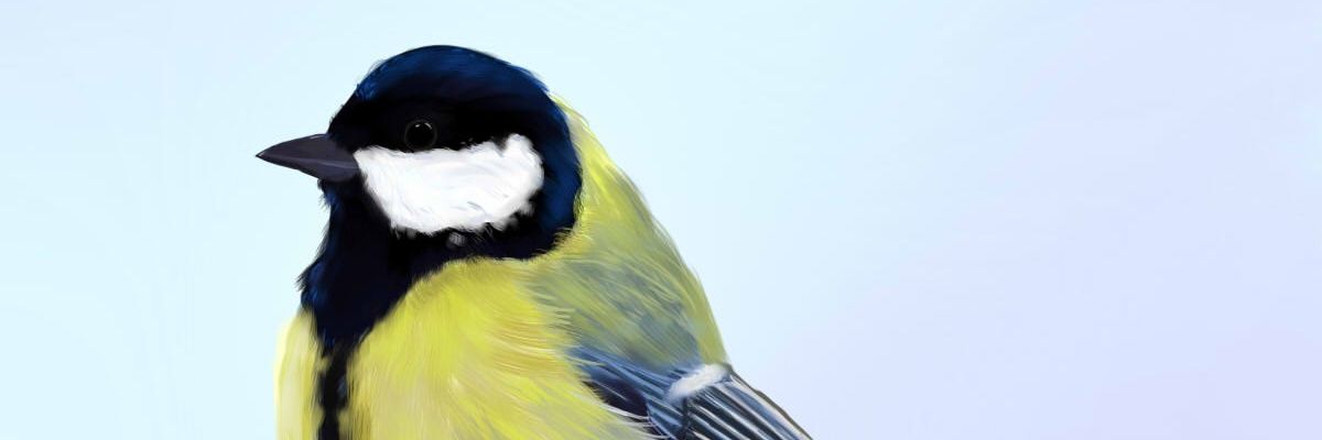 RockingPudding's profile banner image
