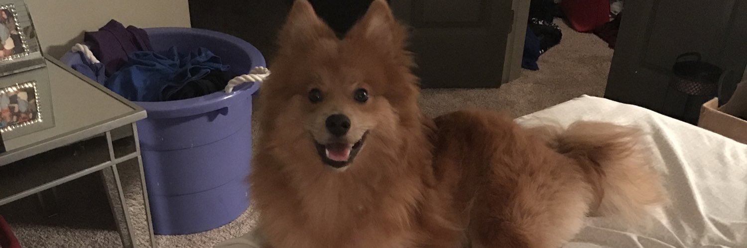 Janelle1913's profile banner image