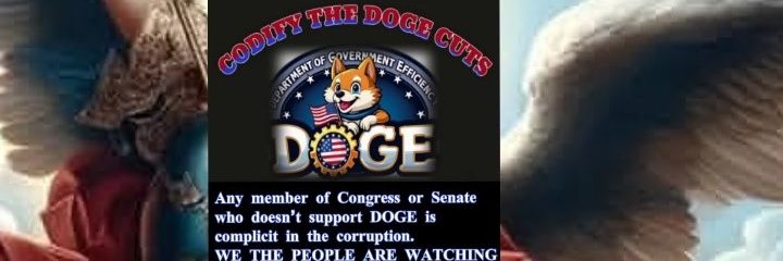 ☆Crusader light🤍🇺🇲 🏳️‍🌈🗽 MAGA🌠 banner