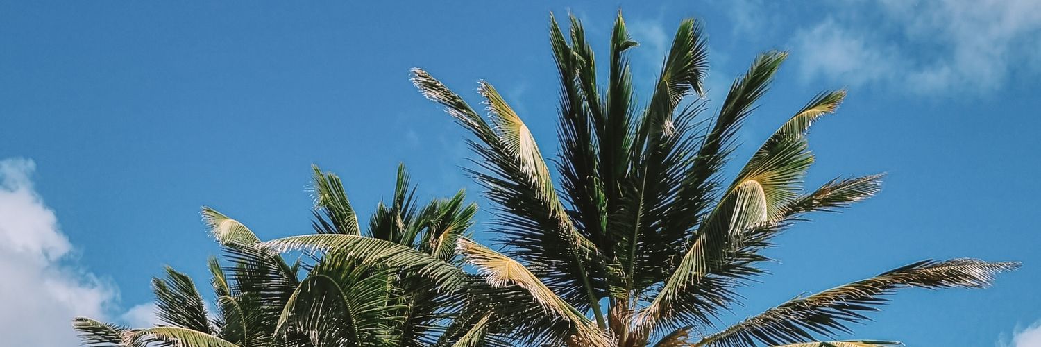 lutsana_'s profile banner image