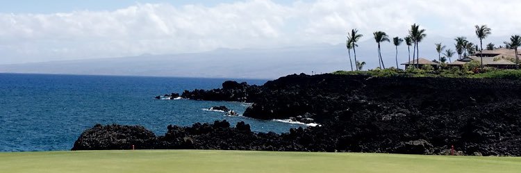 CourtTierney12's profile banner image