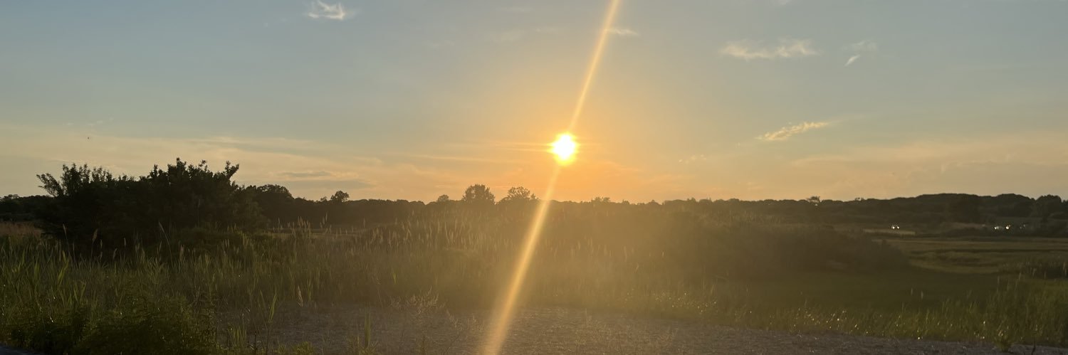 torpritch's profile banner image