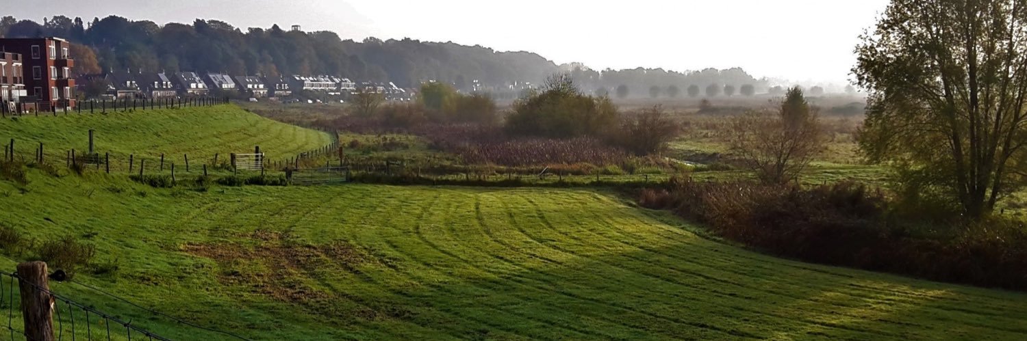 Peter de Haan banner