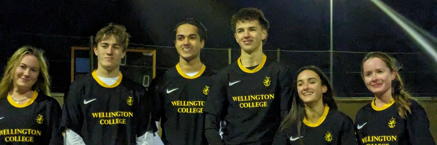 Wellington Polo banner