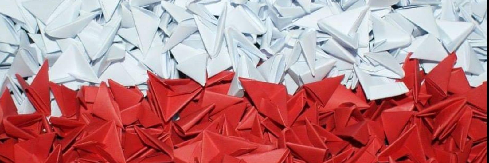 Paweł Raszkiewicz banner