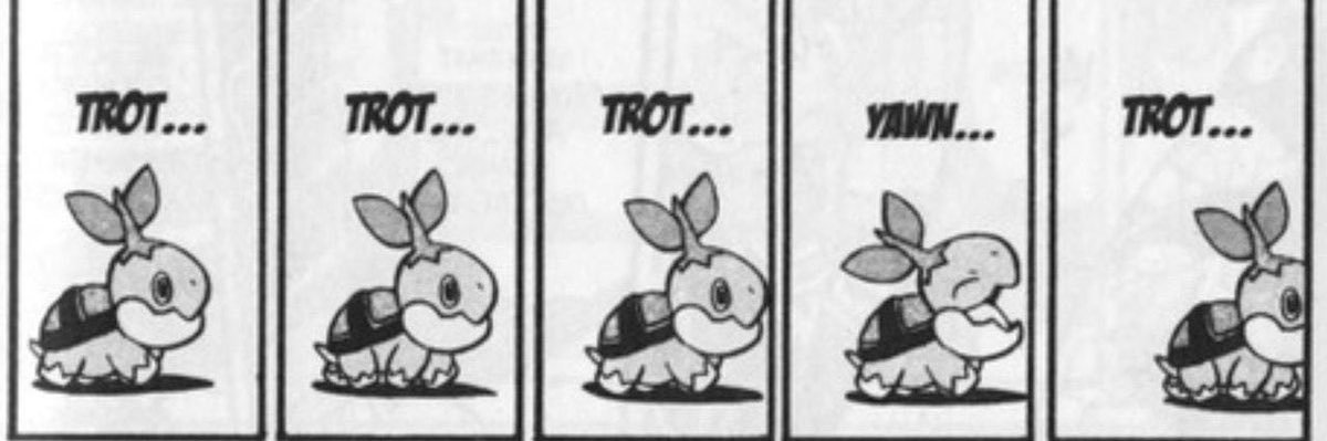 Yorch Bichólogo Reformed banner