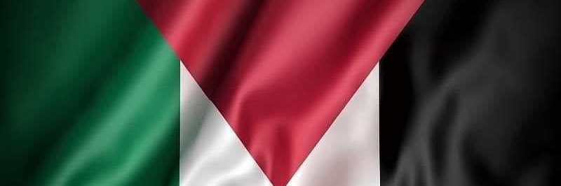 moustafa1970's profile banner image