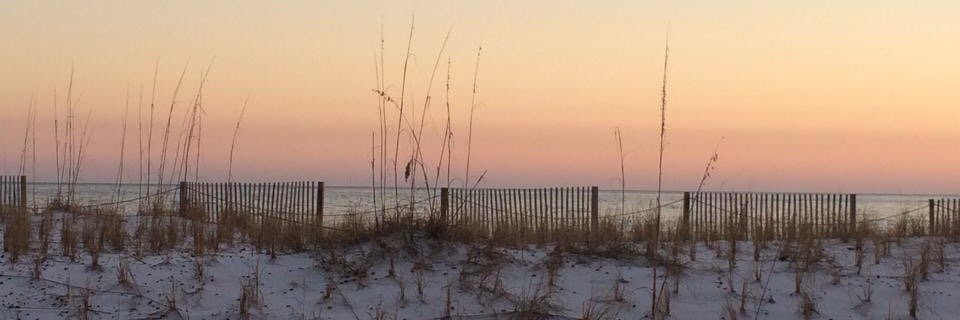 btoombs012's profile banner image