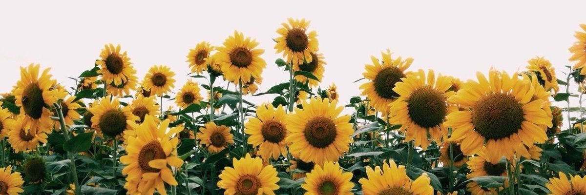 em08ma's profile banner image
