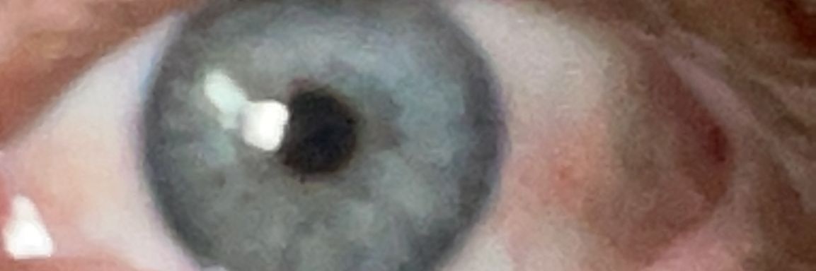 miqueridosaltamontes banner