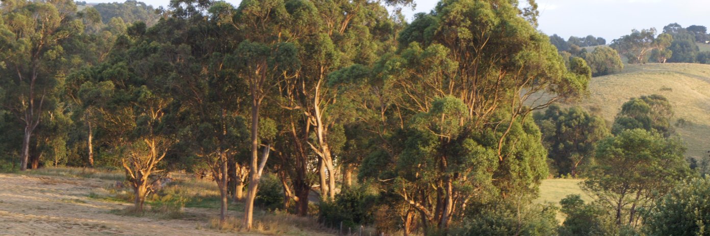 lindamarshall2's profile banner image