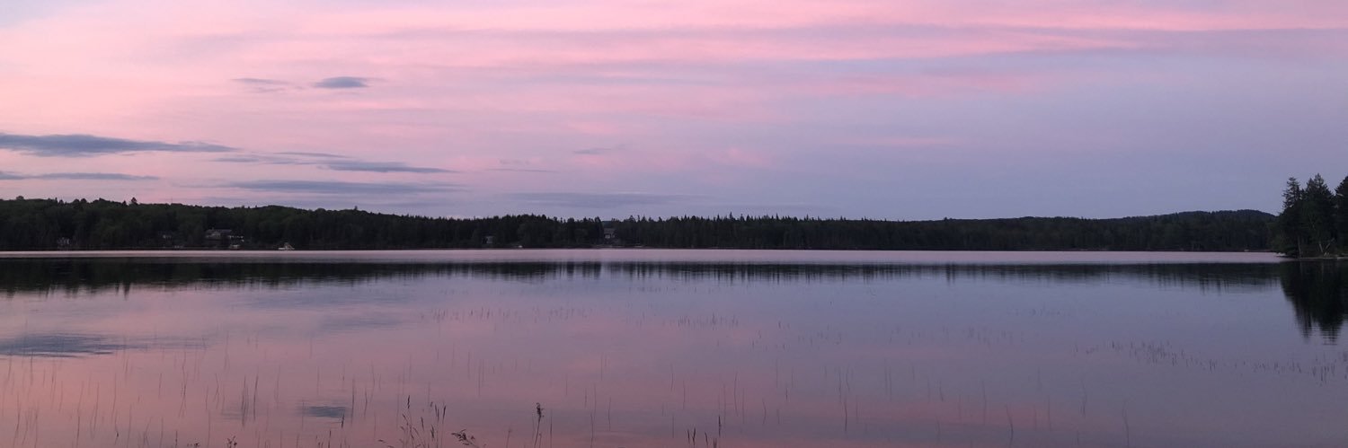 krustin binson banner